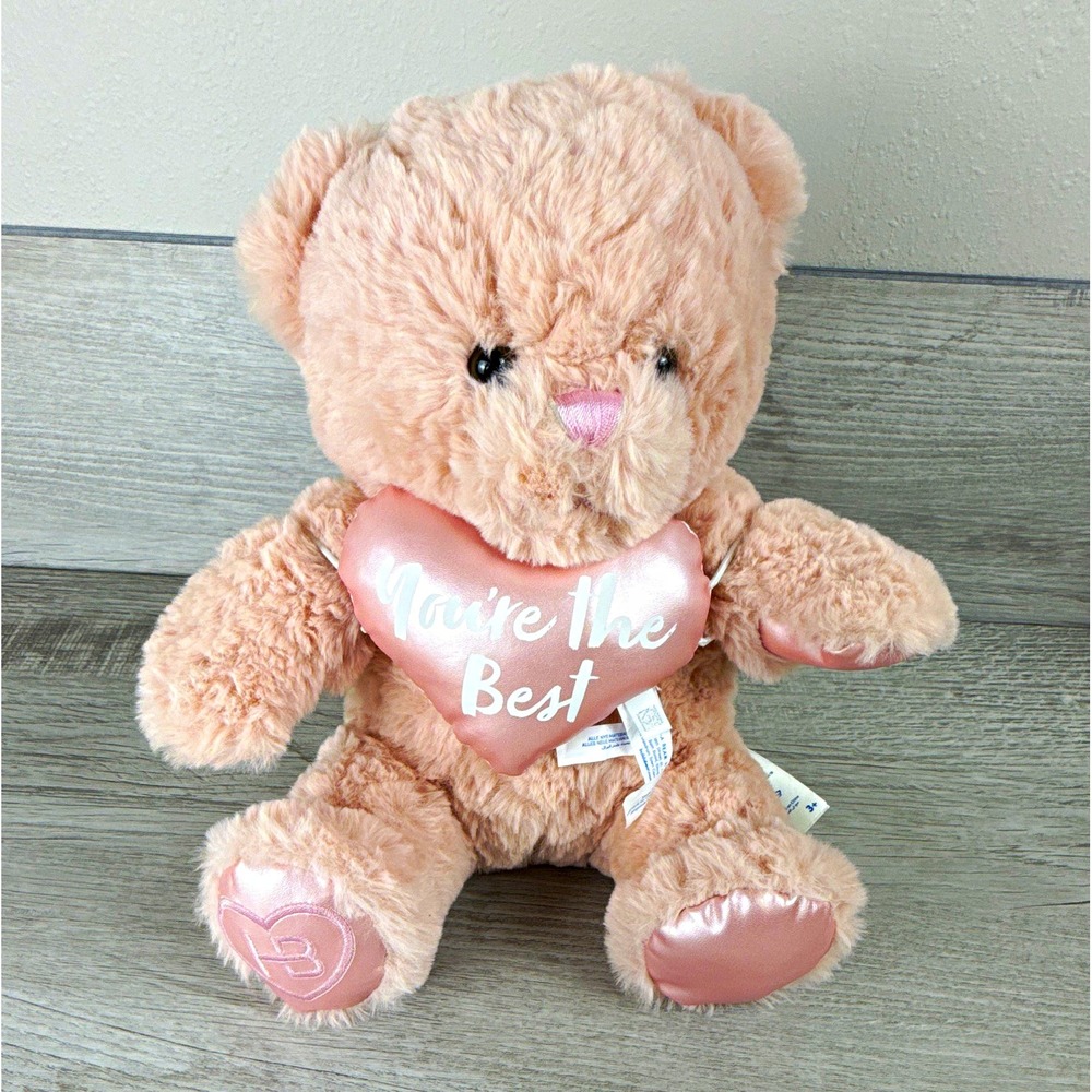 Build A Bear Workshop Pink Teddy Bear You're The Best Heart Plush Valentine Gift